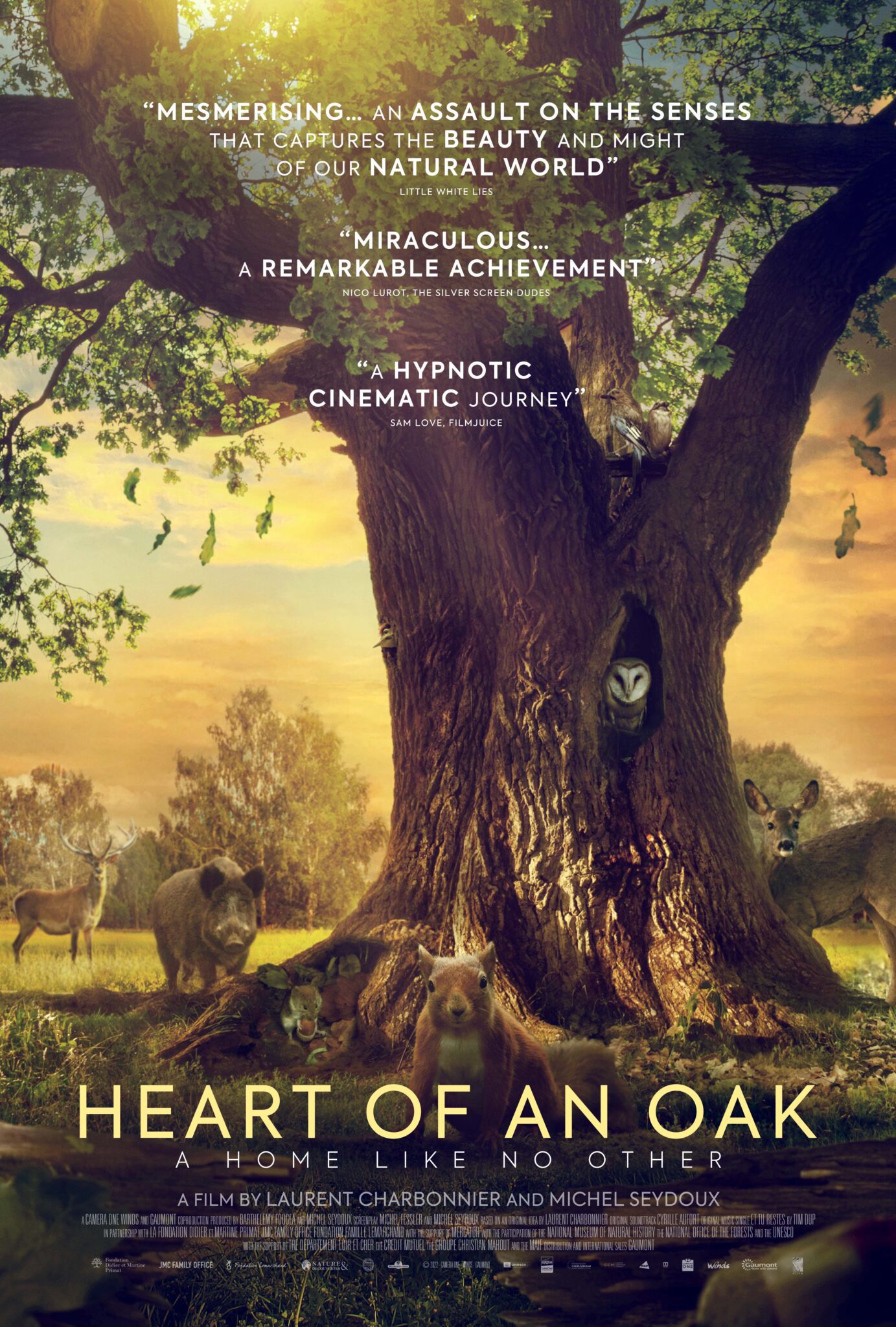Heart of an Oak review - Moviehooker