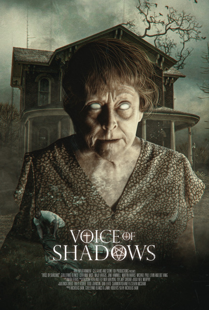 Voice of shadows press release moviehooker