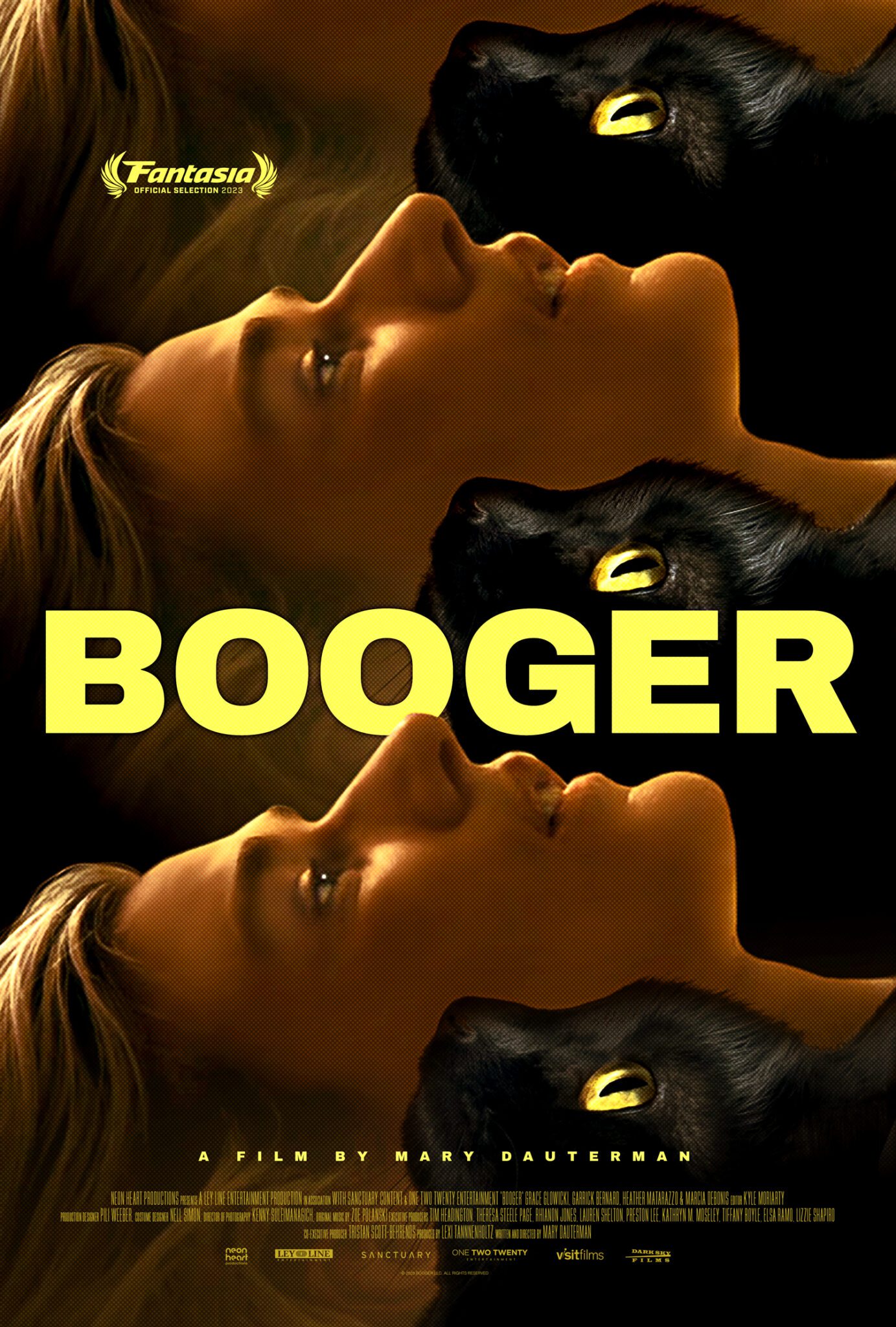 Booger Moviehooker review